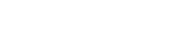 Logo DISIN